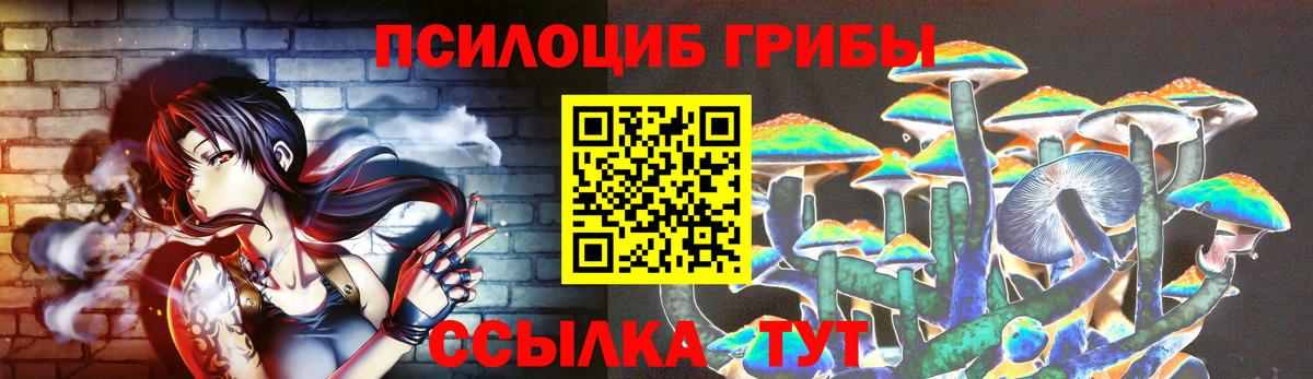 Галлюциногенные грибы GOLDEN TEACHER  Галлюциногенные грибы Psilocybine cubensis  цены наркотик  Вход с VPN  Подольск 