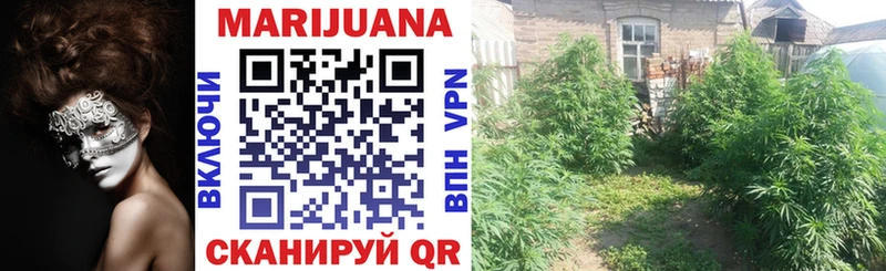 Канабис Bruce Banner  Подольск 